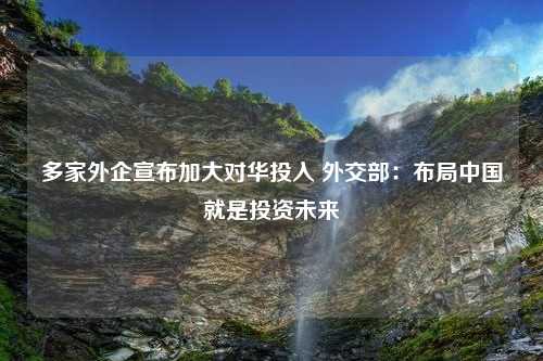 多家外企宣布加大对华投入 外交部：布局中国就是投资未来