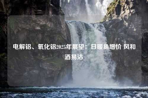 电解铝、氧化铝2025年展望：日暖鱼增价 风和酒易沽