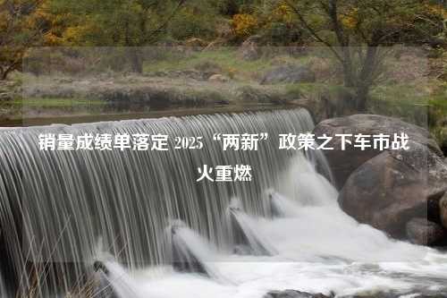 销量成绩单落定 2025“两新”政策之下车市战火重燃