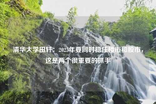 清华大学田轩：2025年要同时稳住楼市和股市，这是两个很重要的抓手