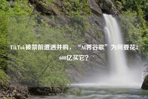 TikTok被禁前遭遇并购，“AI界谷歌”为何要花3600亿买它？