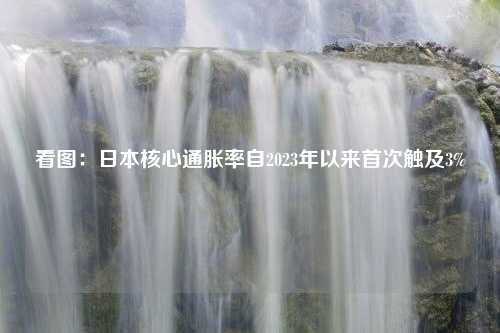 看图：日本核心通胀率自2023年以来首次触及3%