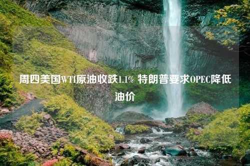 周四美国WTI原油收跌1.1% 特朗普要求OPEC降低油价