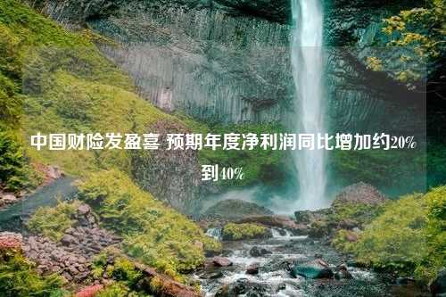 中国财险发盈喜 预期年度净利润同比增加约20%到40%