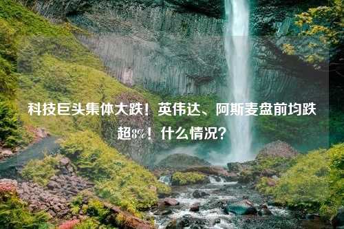 科技巨头集体大跌！英伟达、阿斯麦盘前均跌超8%！什么情况？