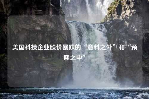 美国科技企业股价暴跌的“意料之外”和“预期之中”