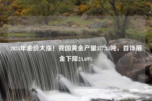 2024年金价大涨！我国黄金产量377.24吨，首饰用金下降24.69%