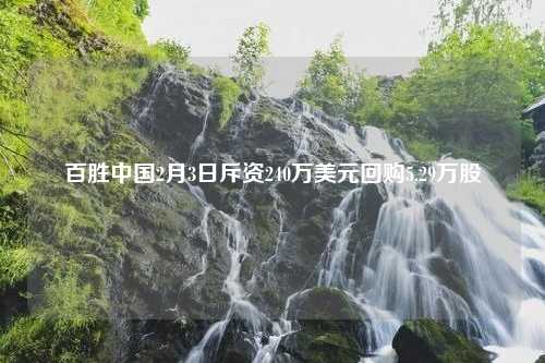 百胜中国2月3日斥资240万美元回购5.29万股