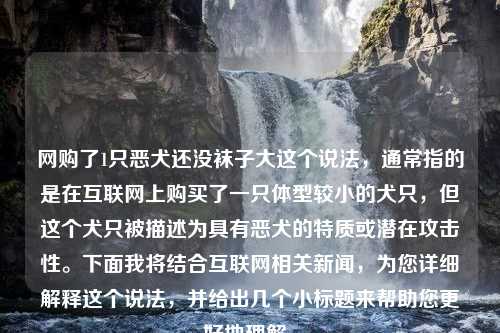 网购了1只恶犬还没袜子大这个说法，通常指的是在互联网上购买了一只体型较小的犬只，但这个犬只被描述为具有恶犬的特质或潜在攻击性。下面我将结合互联网相关新闻，为您详细解释这个说法，并给出几个小标题来帮助您更好地理解。