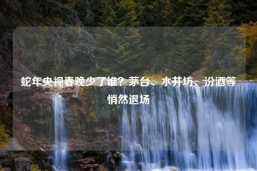 蛇年央视春晚少了谁？茅台、水井坊、汾酒等悄然退场