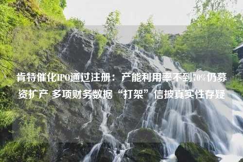 肯特催化IPO通过注册：产能利用率不到70%仍募资扩产 多项财务数据“打架”信披真实性存疑