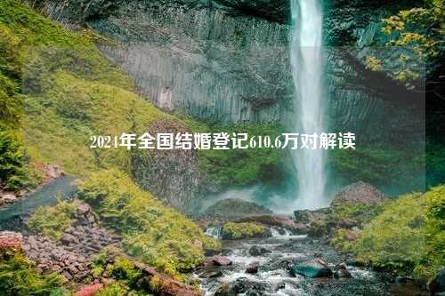 2024年全国结婚登记610.6万对解读