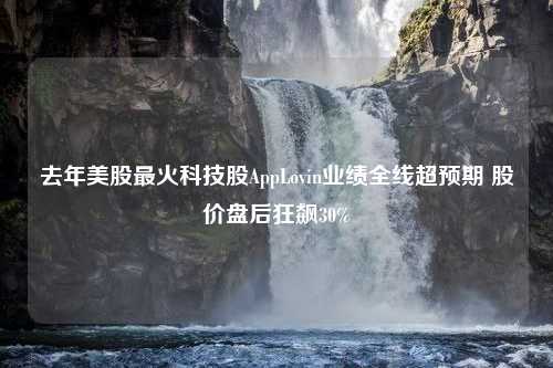 去年美股最火科技股AppLovin业绩全线超预期 股价盘后狂飙30%