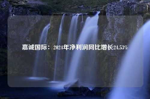 嘉诚国际：2024年净利润同比增长24.53%