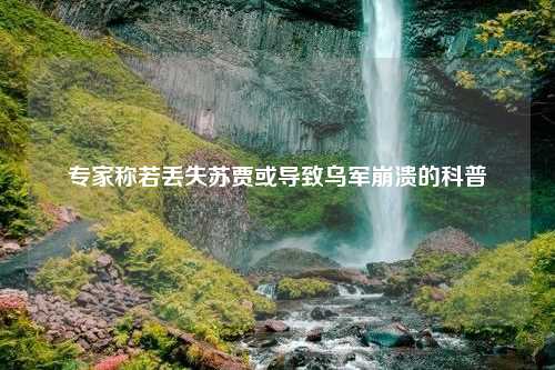 专家称若丢失苏贾或导致乌军崩溃的科普