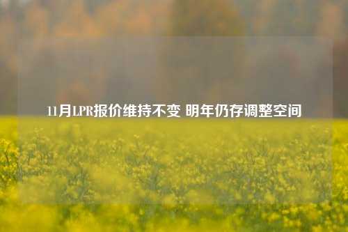 11月LPR报价维持不变 明年仍存调整空间