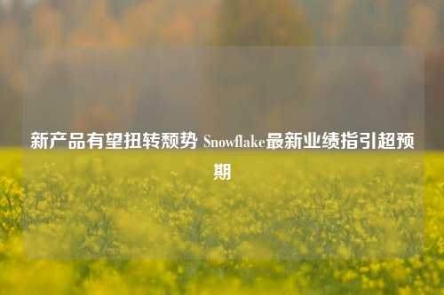 新产品有望扭转颓势 Snowflake最新业绩指引超预期