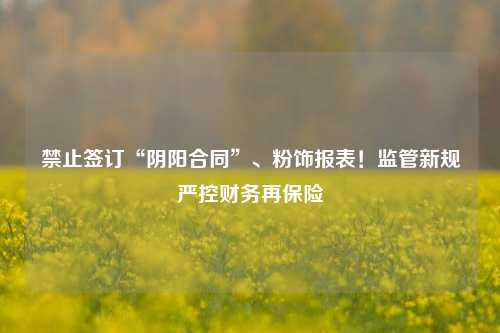 禁止签订“阴阳合同”、粉饰报表！监管新规严控财务再保险