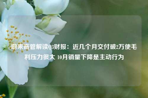 蔚来高管解读Q3财报：近几个月交付破2万使毛利压力很大 10月销量下降是主动行为