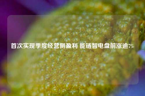 首次实现季度经营侧盈利 能链智电盘前涨逾7%