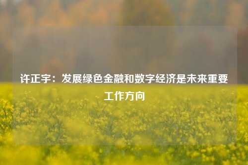 许正宇：发展绿色金融和数字经济是未来重要工作方向