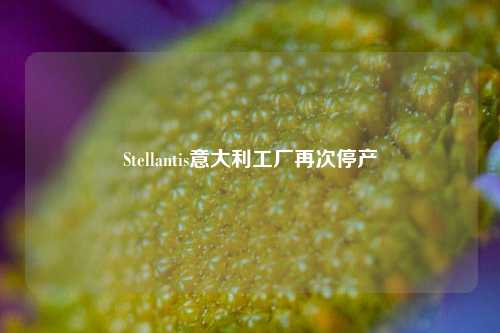 Stellantis意大利工厂再次停产