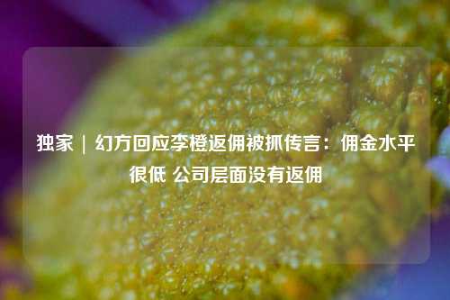 独家 | 幻方回应李橙返佣被抓传言：佣金水平很低 公司层面没有返佣