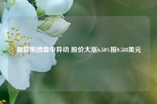 盈喜集团盘中异动 股价大涨6.50%报0.588美元