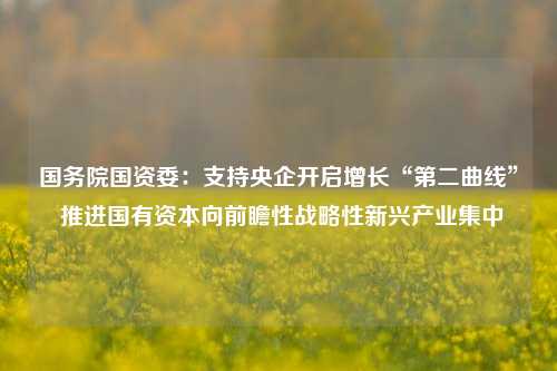 国务院国资委：支持央企开启增长“第二曲线” 推进国有资本向前瞻性战略性新兴产业集中