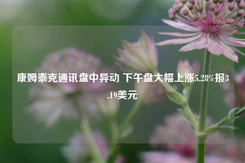 康姆泰克通讯盘中异动 下午盘大幅上涨5.28%报3.19美元