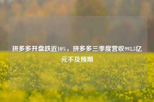 拼多多开盘跌近10%，拼多多三季度营收993.5亿元不及预期