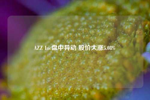 AZZ Inc盘中异动 股价大涨5.08%