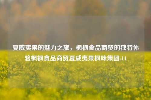 夏威夷果的魅力之旅，枫枫食品商贸的独特体验枫枫食品商贸夏威夷果枫味集团s14