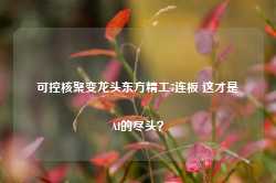 可控核聚变龙头东方精工7连板 这才是AI的尽头？