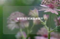 福特将在欧洲裁员四千