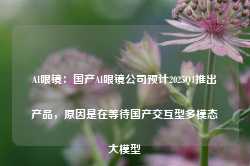 AI眼镜：国产AI眼镜公司预计2025Q1推出产品，原因是在等待国产交互型多模态大模型