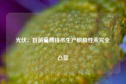 光伏：目前叠栅技术生产积极性未完全凸显