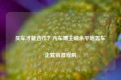 买车才能合作？汽车博主胡永平炮轰车企营销潜规则