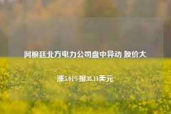 阿根廷北方电力公司盘中异动 股价大涨5.01%报38.11美元