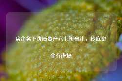 房企名下优质资产六七折出让，抄底资金在进场