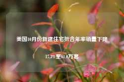 美国10月份新建住宅折合年率销量下降17.3%至61.0万套