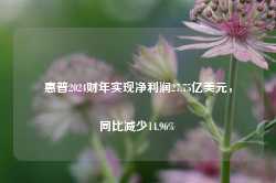 惠普2024财年实现净利润27.75亿美元，同比减少14.96%