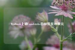 Wedbush上调Crowdstrike目标价至390美元