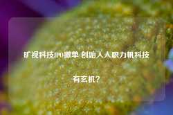 旷视科技IPO撤单 创始人入职力帆科技有玄机？