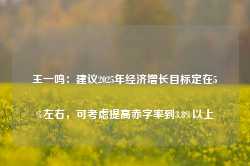 王一鸣：建议2025年经济增长目标定在5%左右，可考虑提高赤字率到3.8%以上