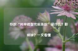 存款“利率调整兜底条款”是什么？影响谁？一文看懂