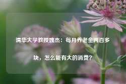 清华大学教授魏杰：每月养老金两百多块，怎么能有大的消费？