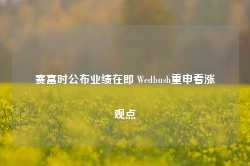 赛富时公布业绩在即 Wedbush重申看涨观点