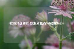 欧股开盘普跌 欧洲斯托克50指数跌0.85%