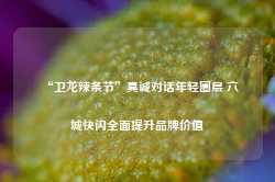 “卫龙辣条节”真诚对话年轻圈层 六城快闪全面提升品牌价值